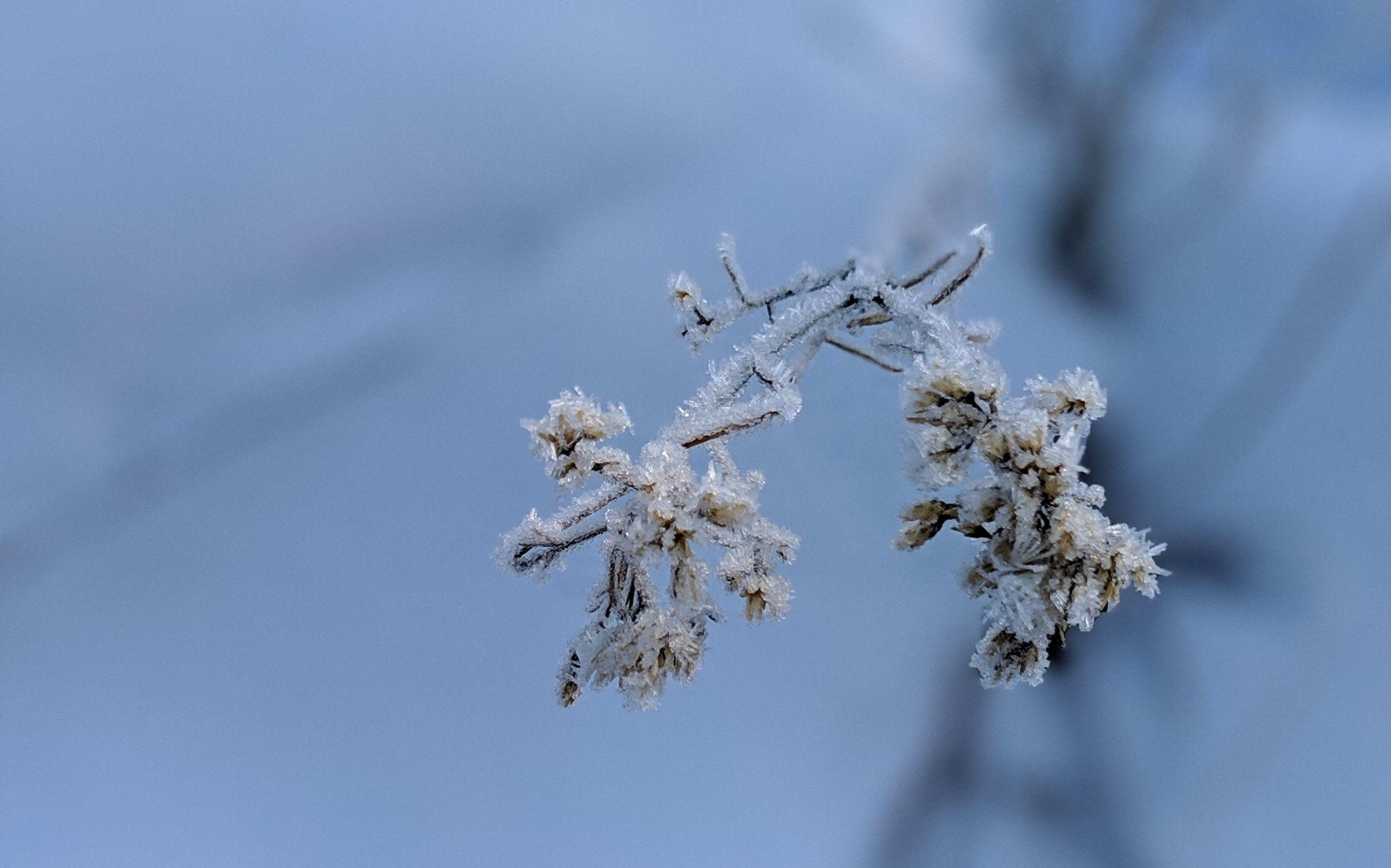 00100lPORTRAIT_00100_BURST20190115100301671_COVER