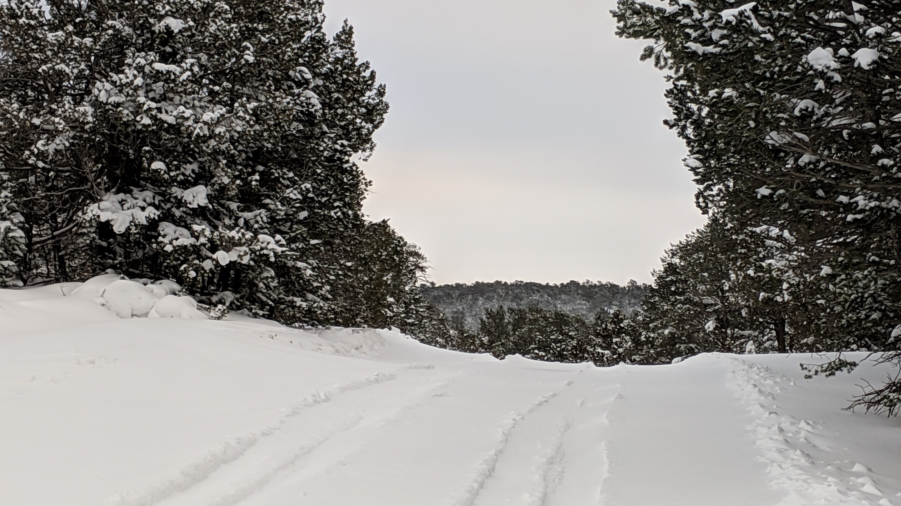 MVIMG_20190101_163342