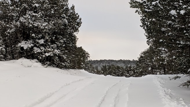 MVIMG_20190101_163342